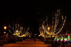 IMG_20211202_200446519