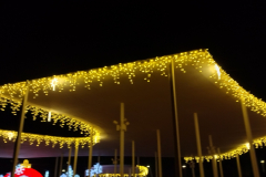 IMG_20221202_191754680_HDR