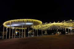 IMG_20221202_192354479_HDR